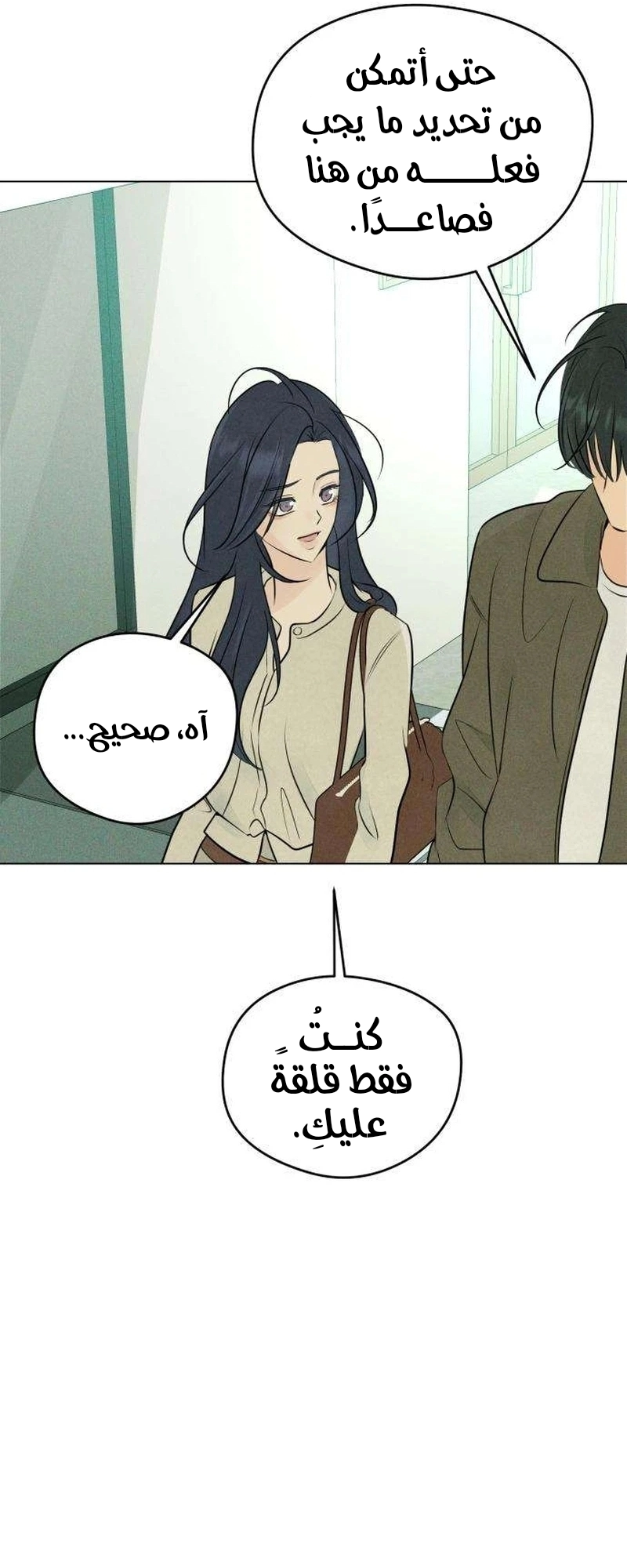 الصفحة 17