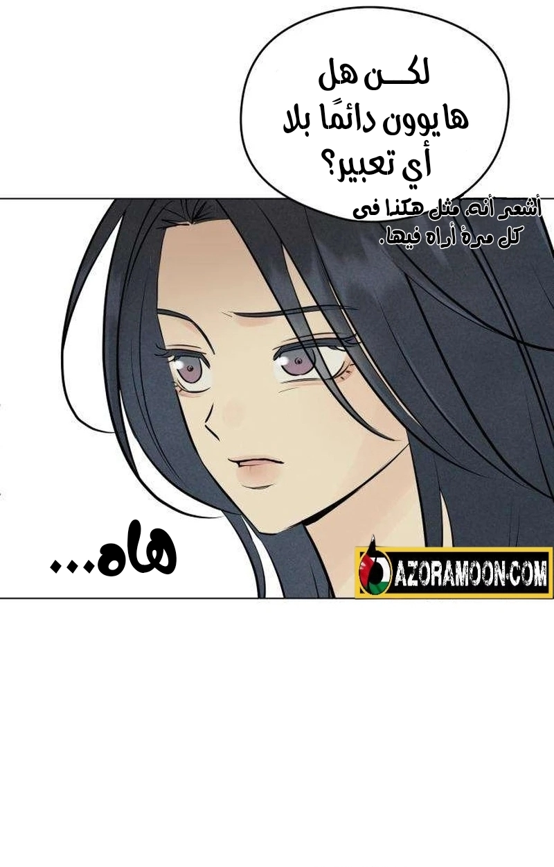 الصفحة 31