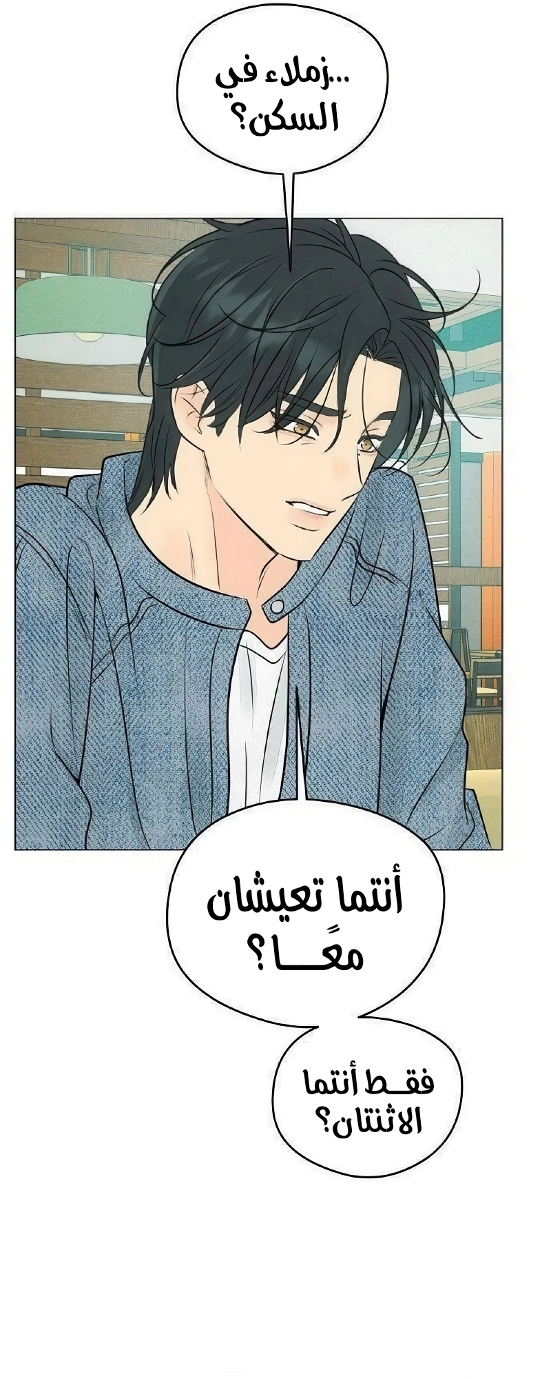 الصفحة 13