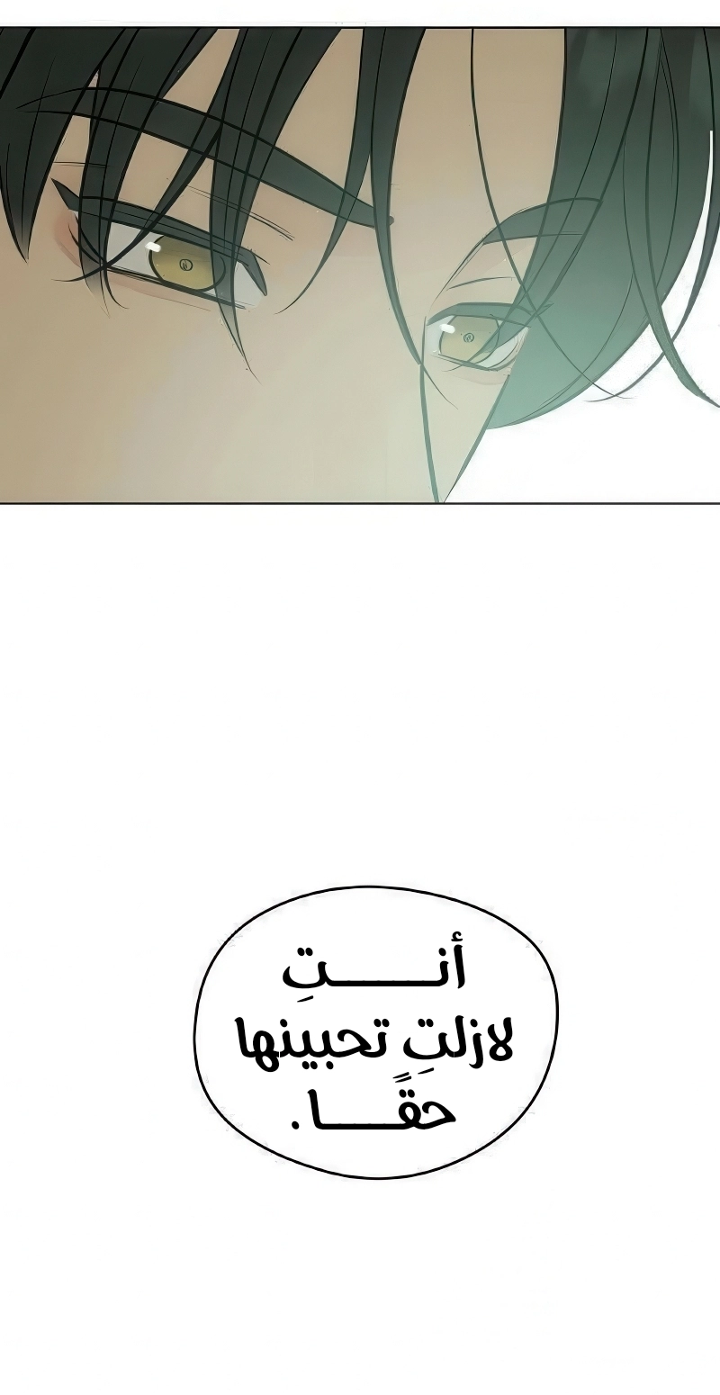 الصفحة 55