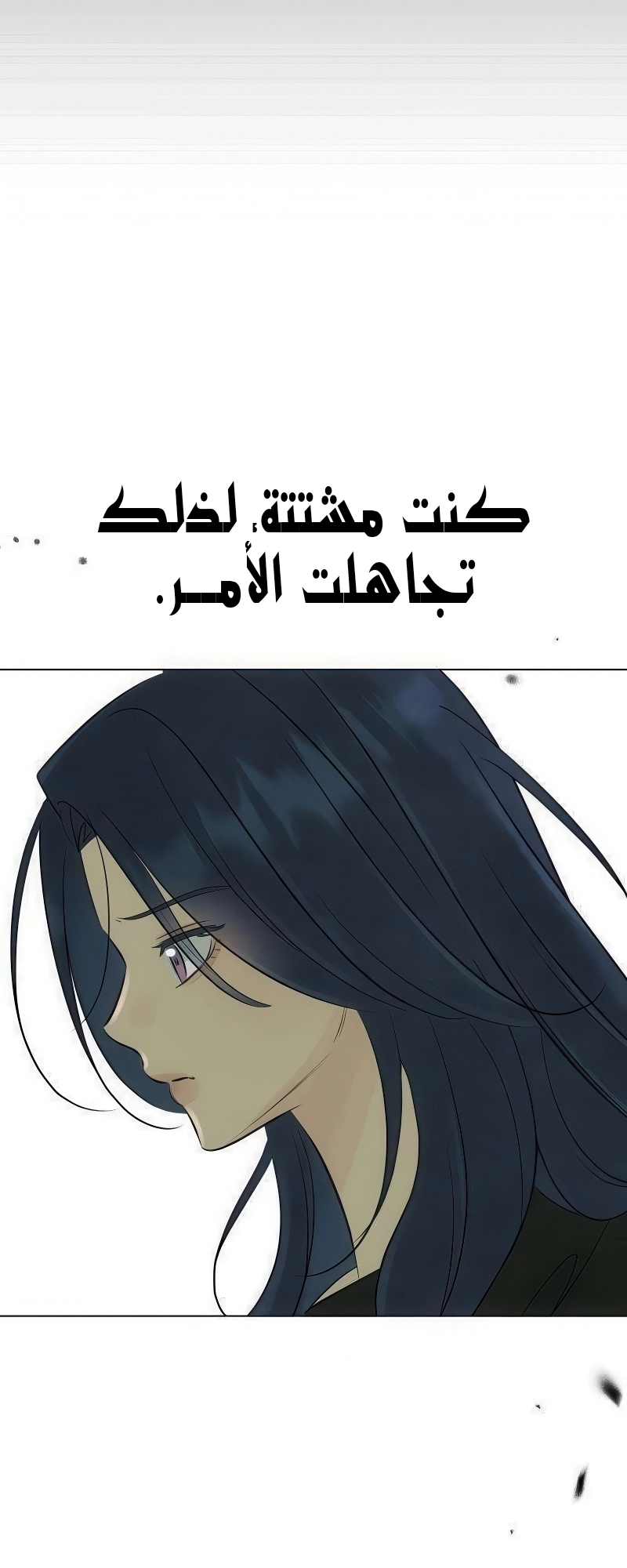 الصفحة 20