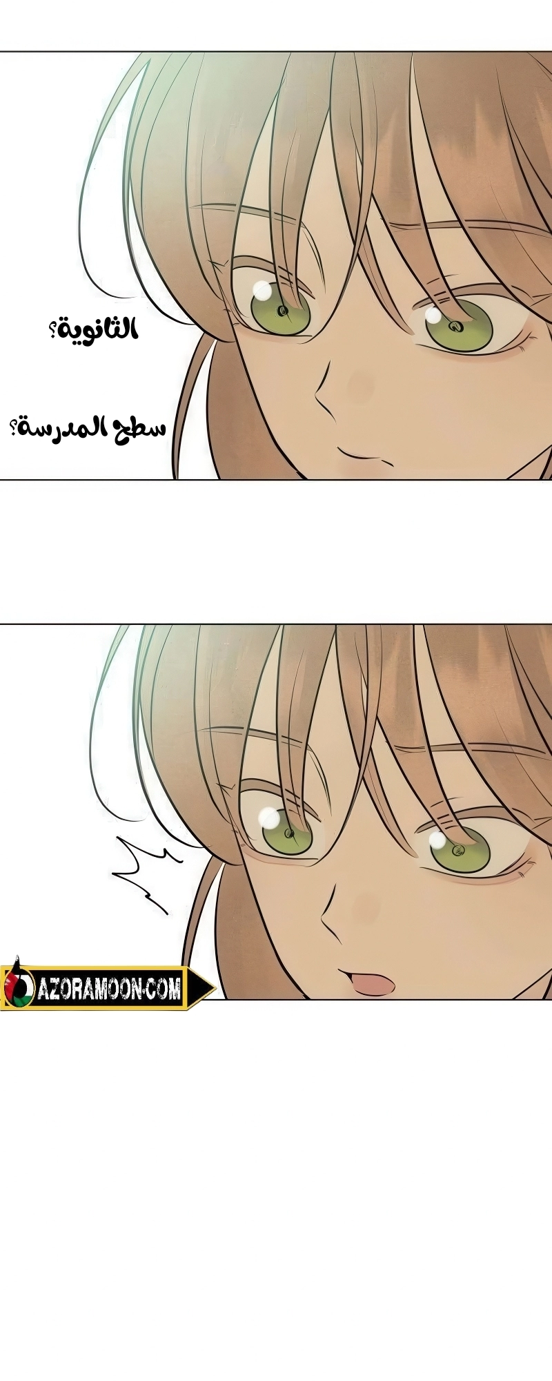 الصفحة 25