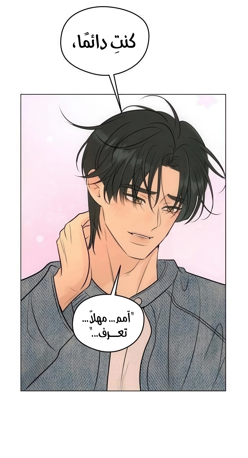 الصفحة 31