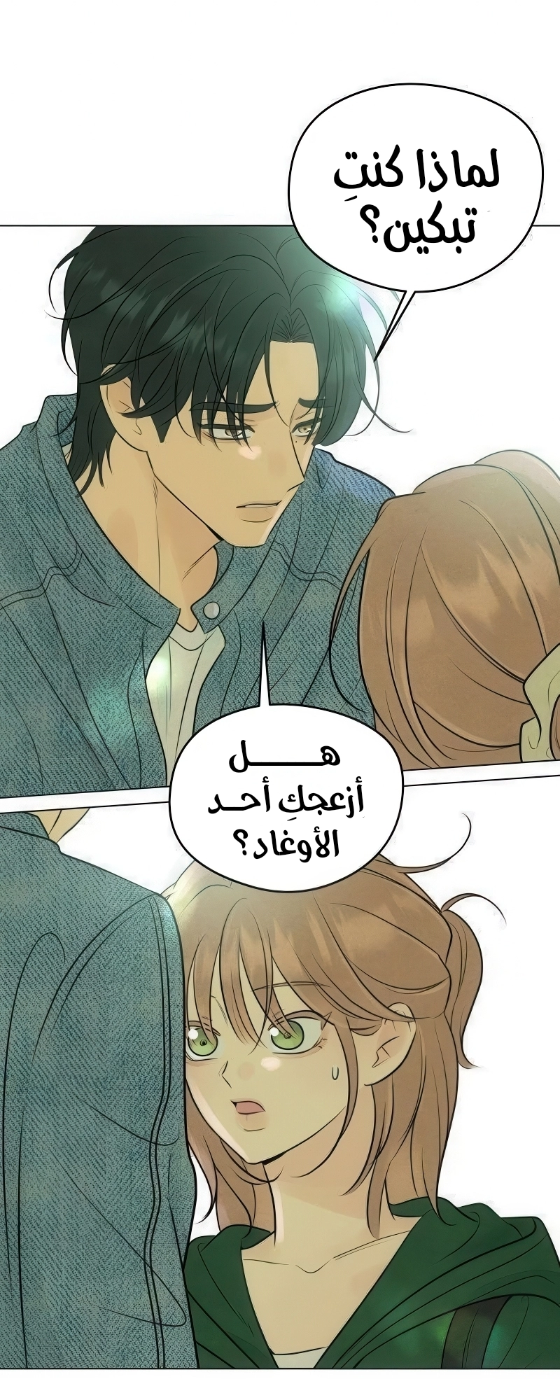 الصفحة 33