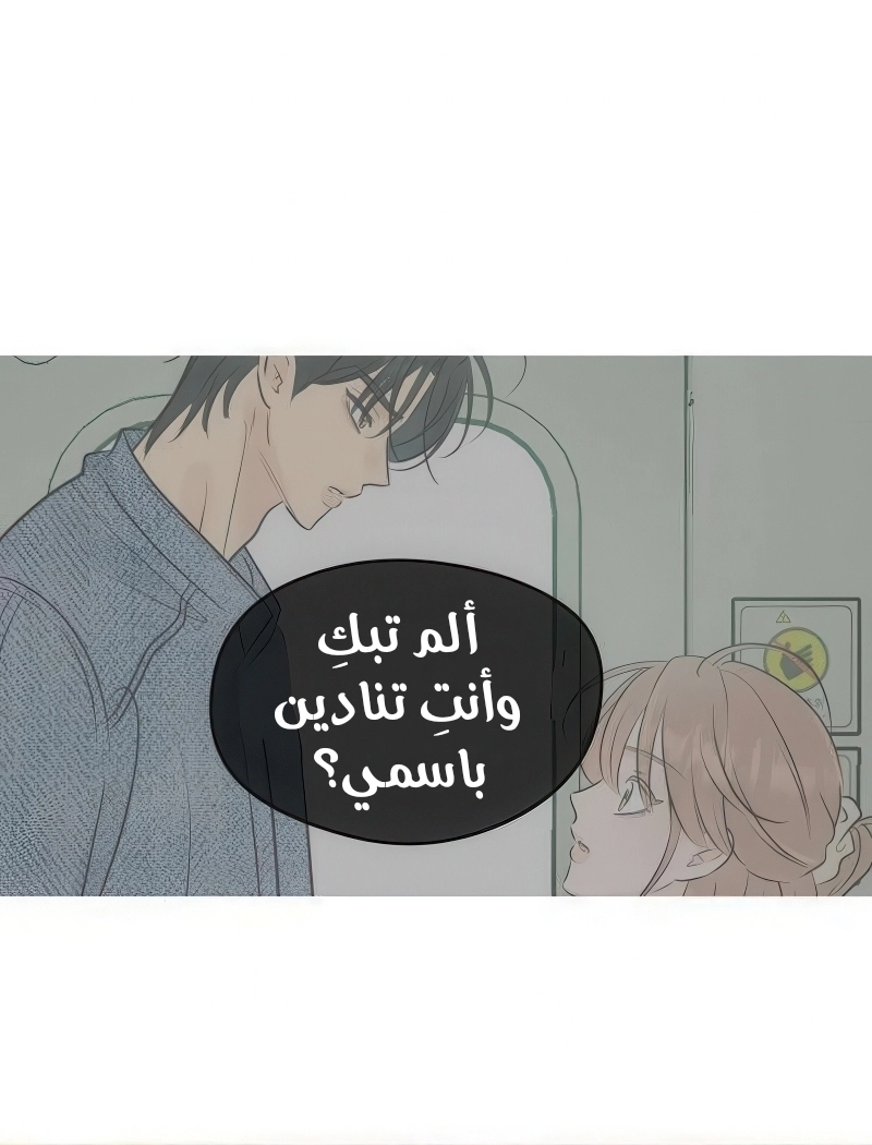 الصفحة 53