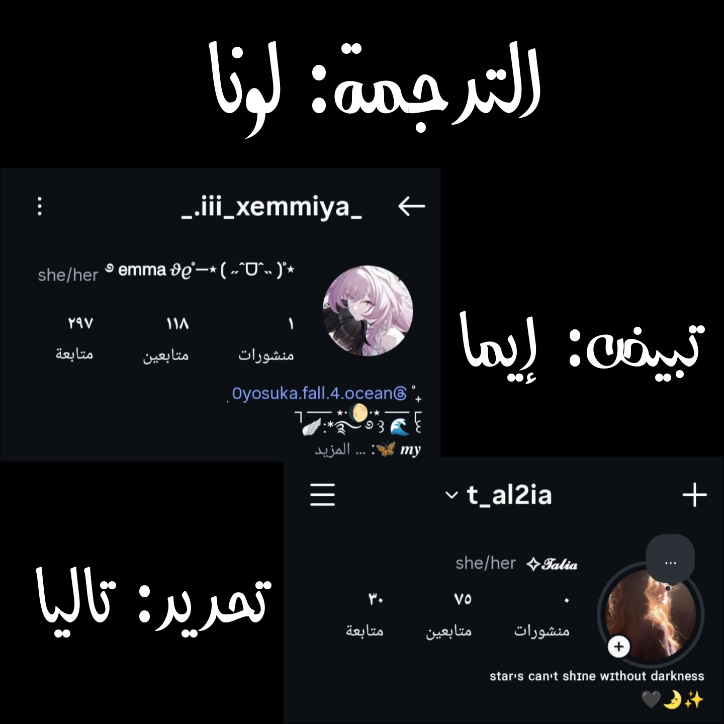 الصفحة 12