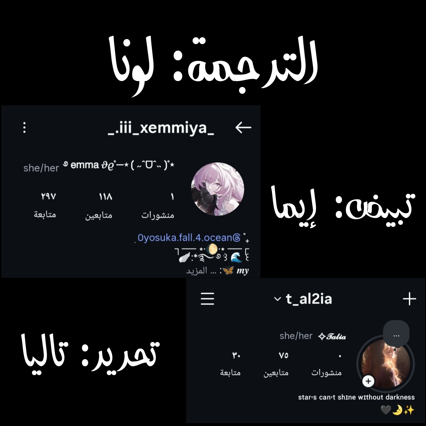 الصفحة 12