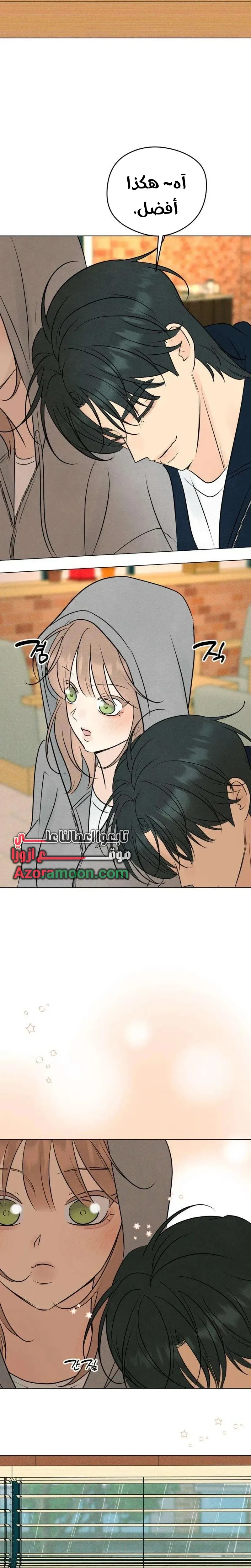 الصفحة 13