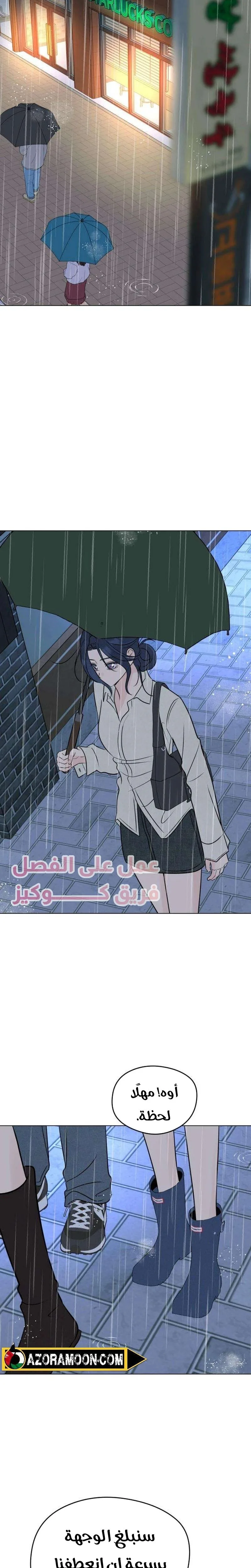 الصفحة 17