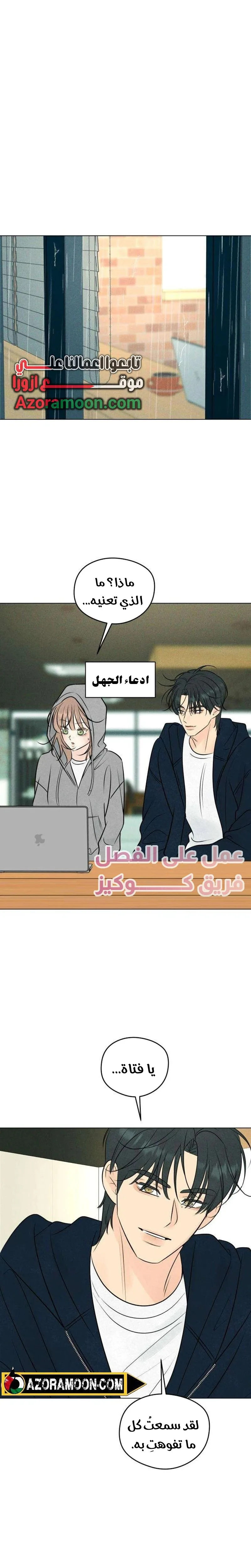 الصفحة 19