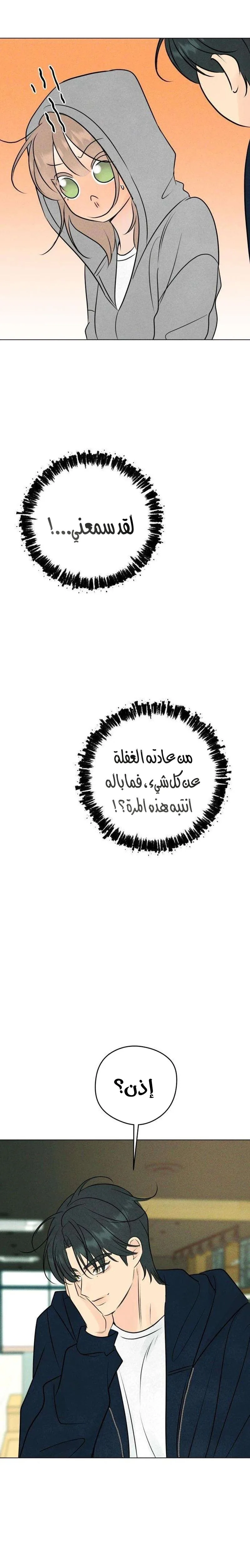الصفحة 20
