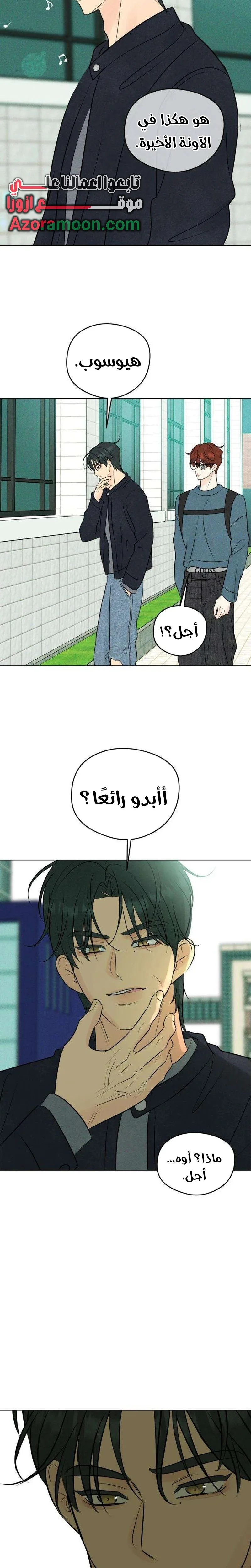 الصفحة 29