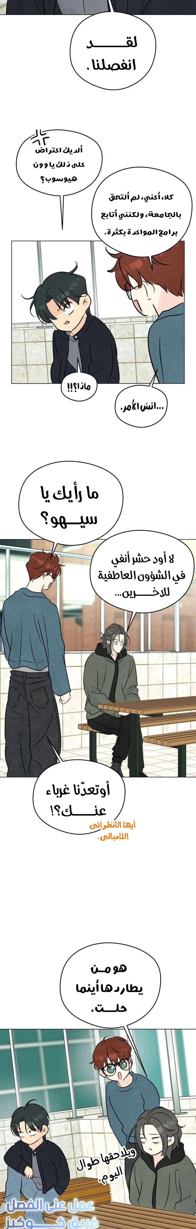 الصفحة 19