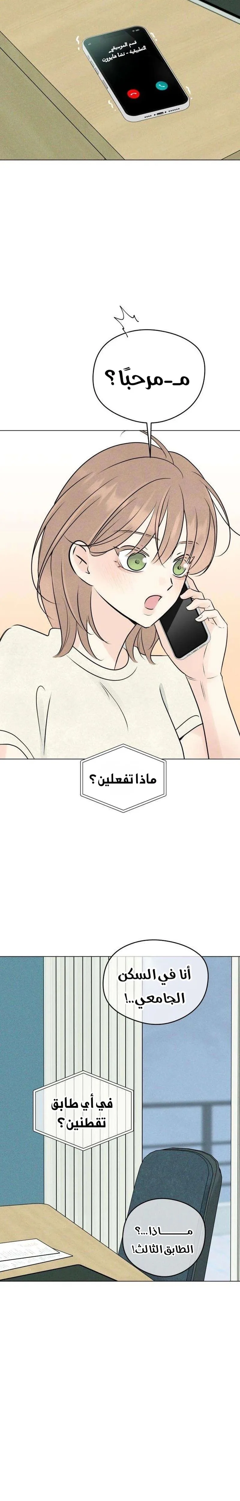 الصفحة 11