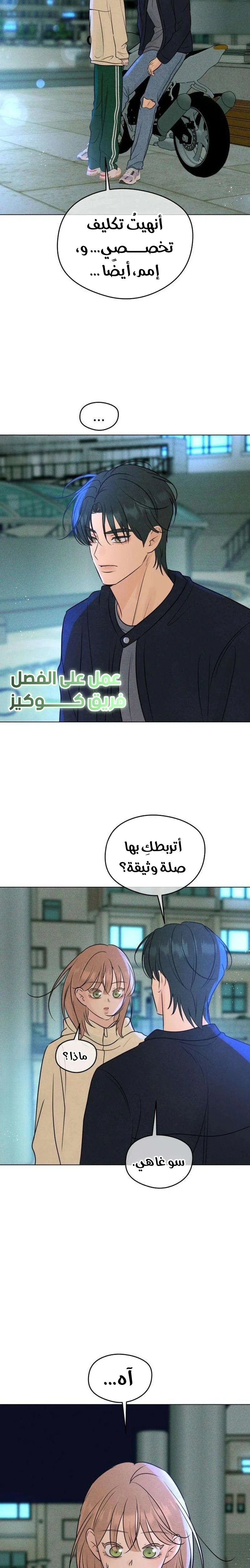 الصفحة 17