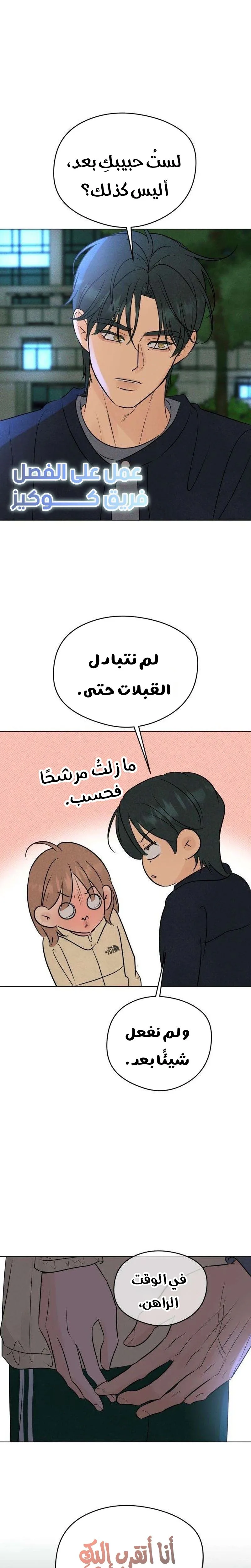 الصفحة 19