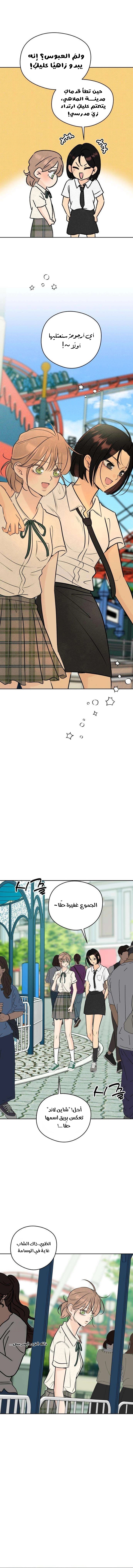 الصفحة 13