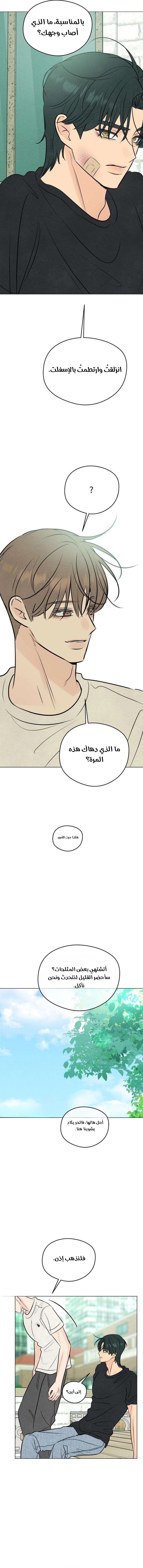 الصفحة 13