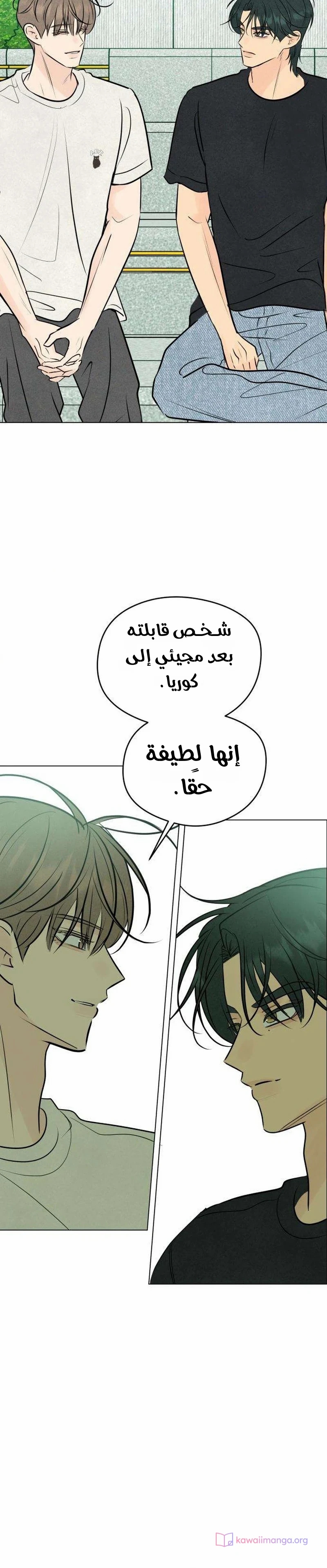 الصفحة 11