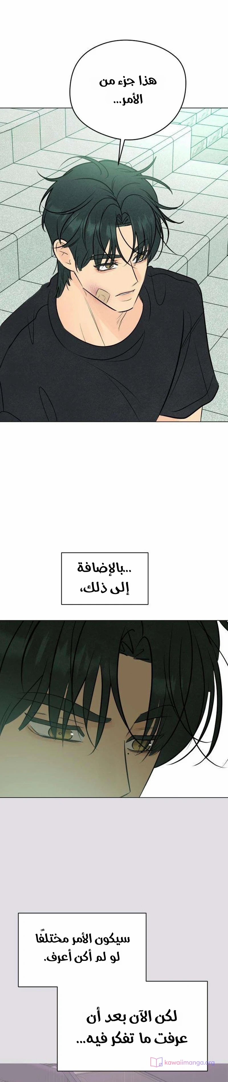 الصفحة 16