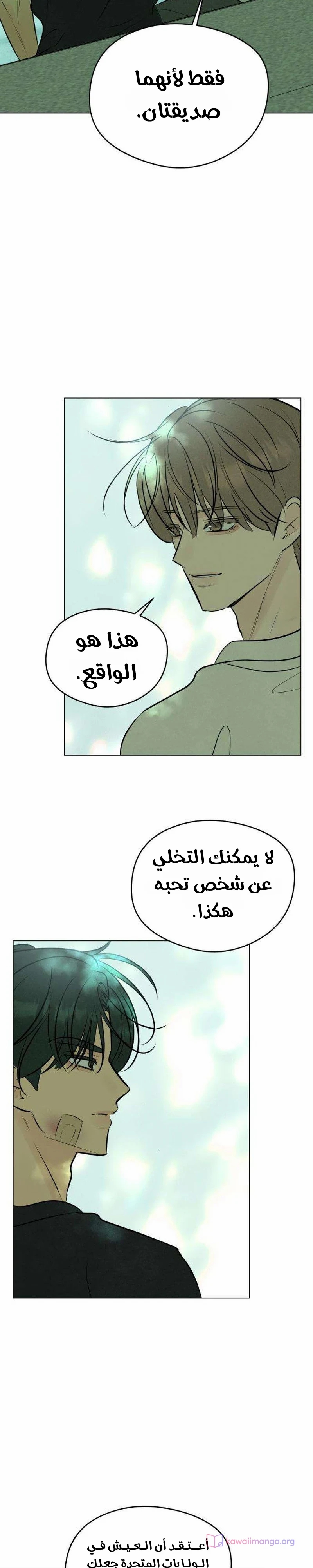 الصفحة 19