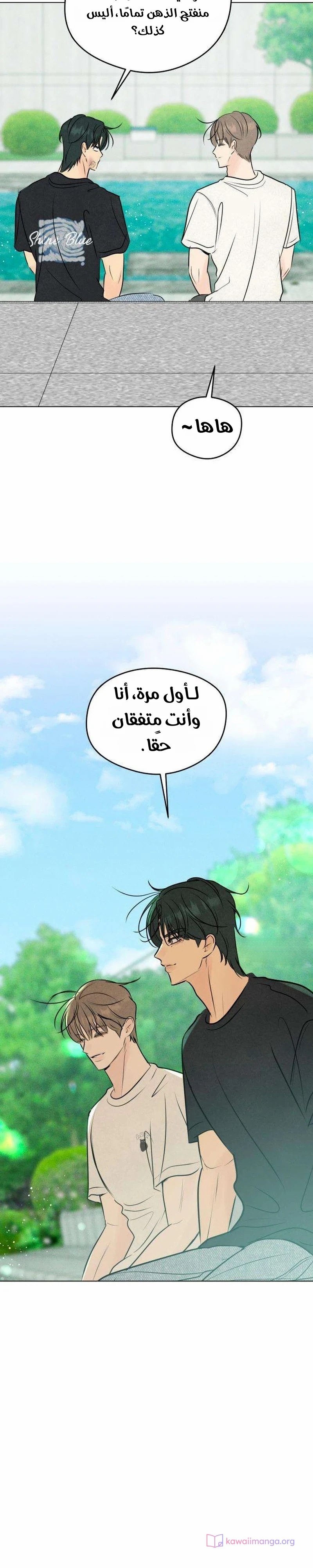الصفحة 20