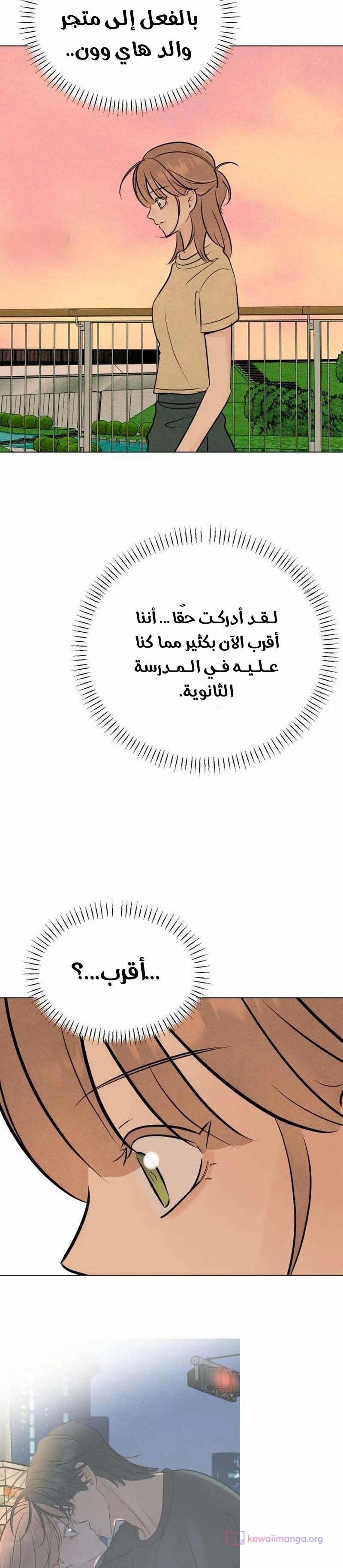 الصفحة 24