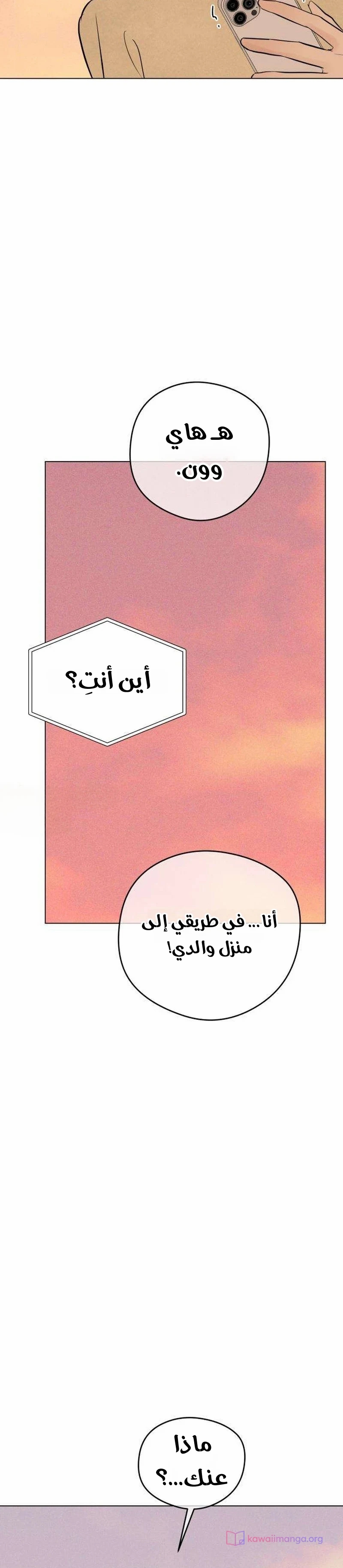 الصفحة 26