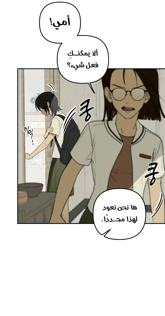 الصفحة 42