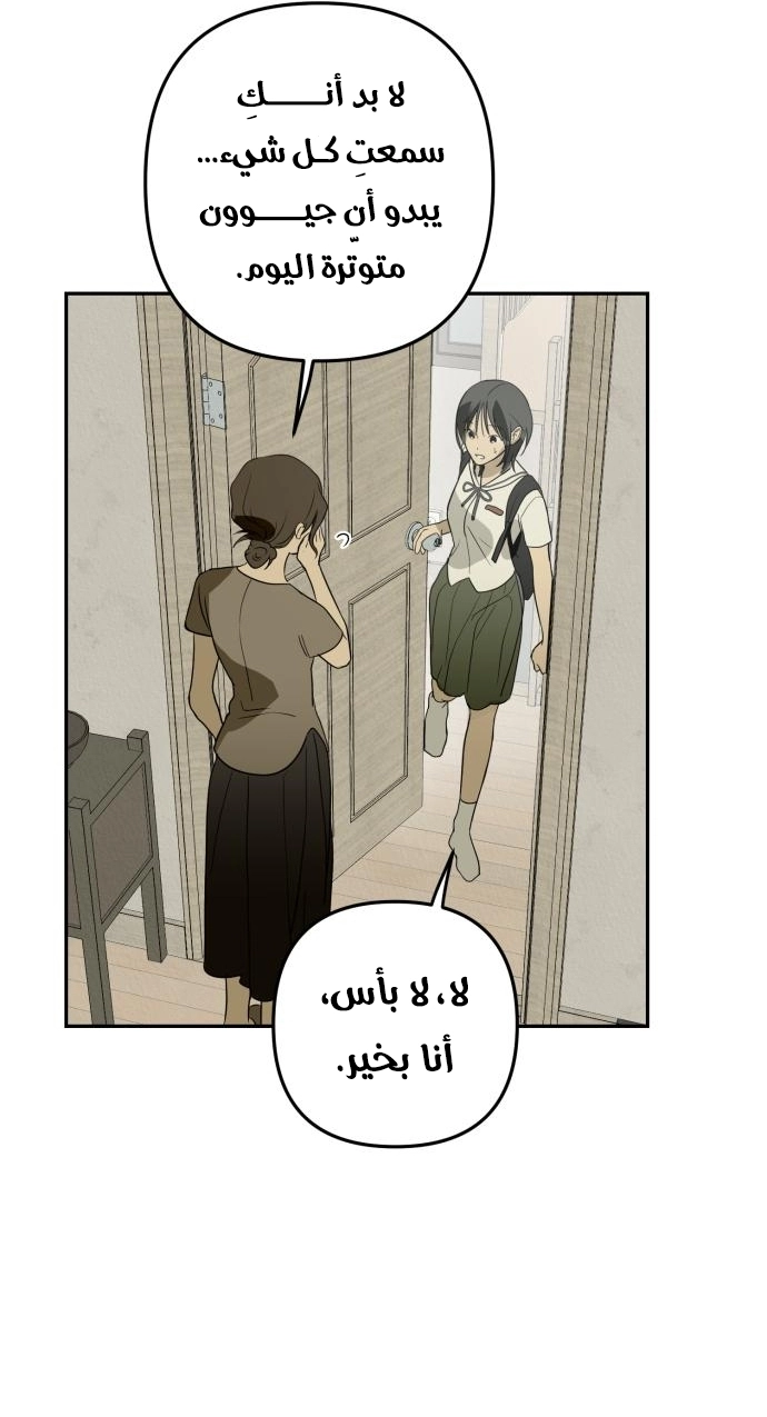 الصفحة 48