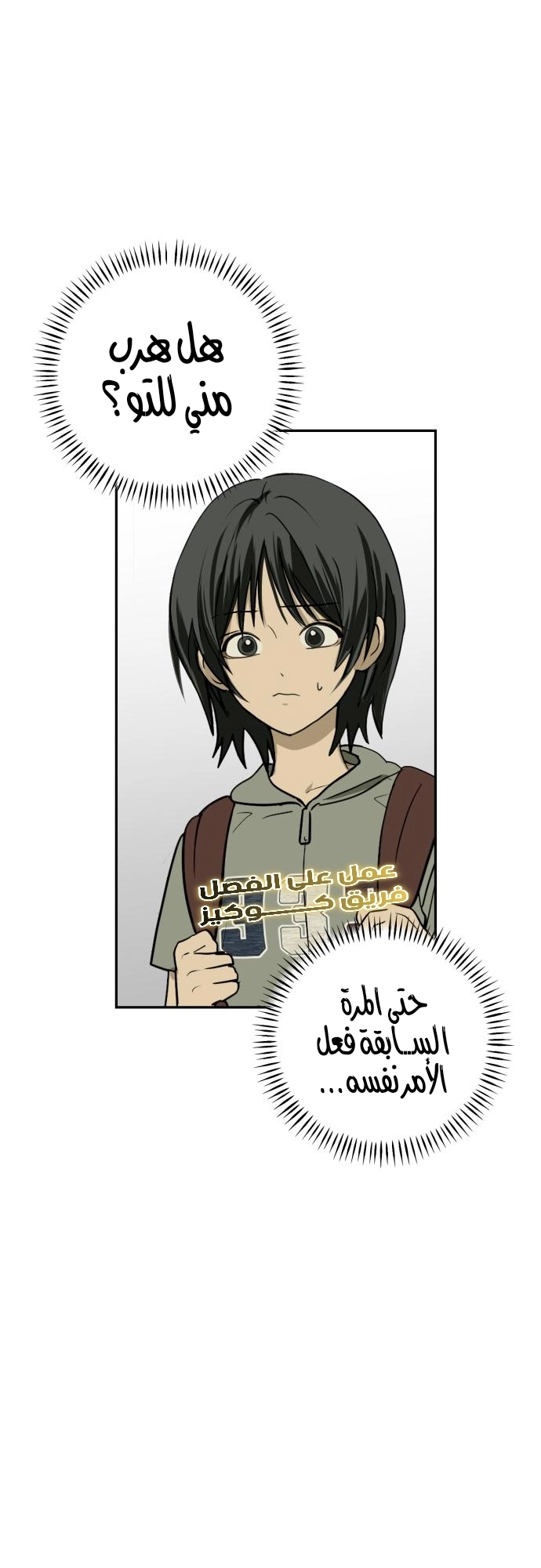 الصفحة 13