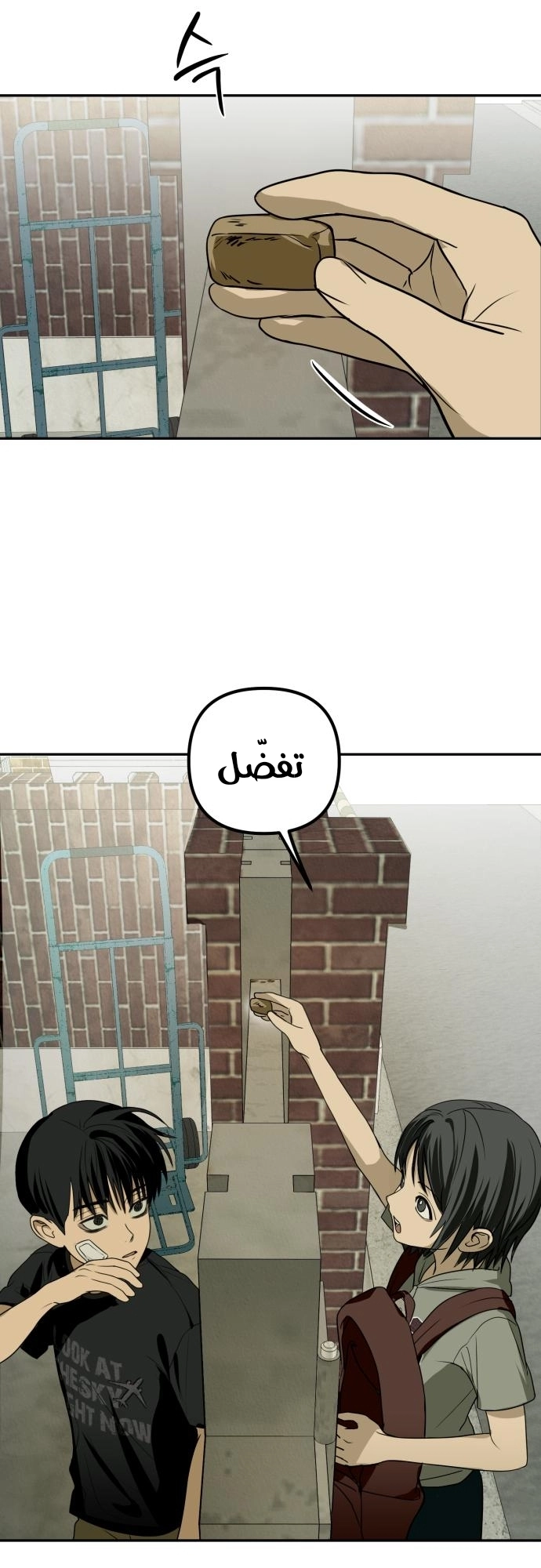 الصفحة 17