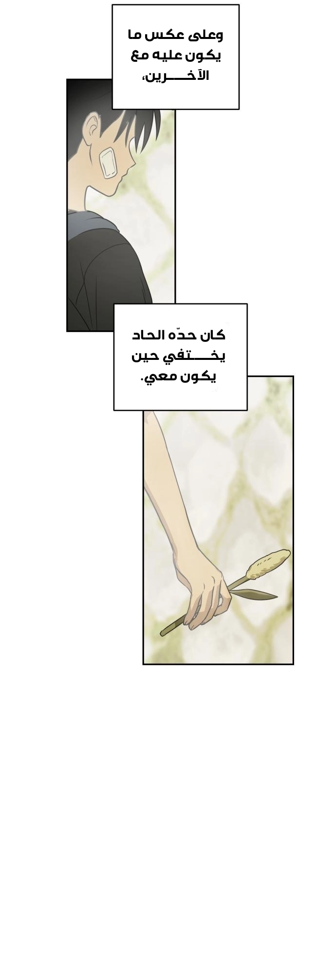 الصفحة 25