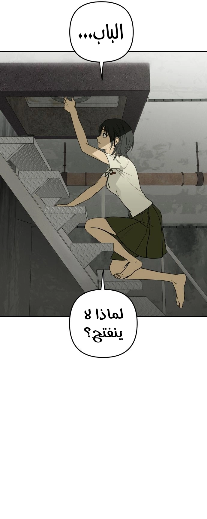 الصفحة 13