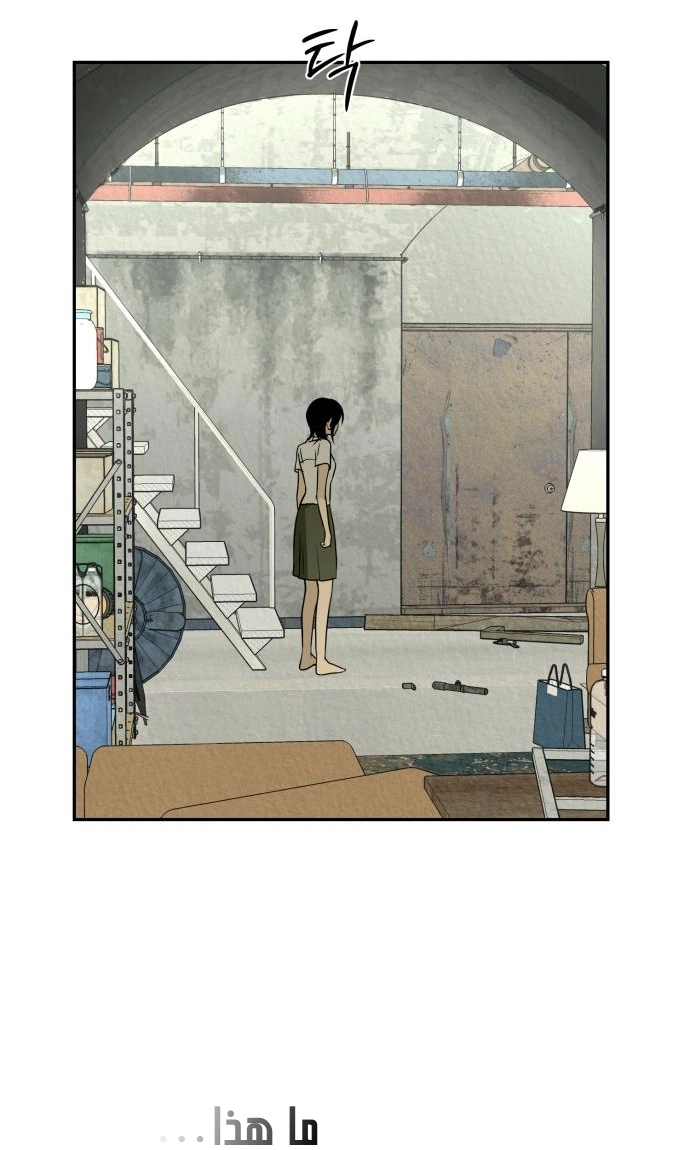 الصفحة 45