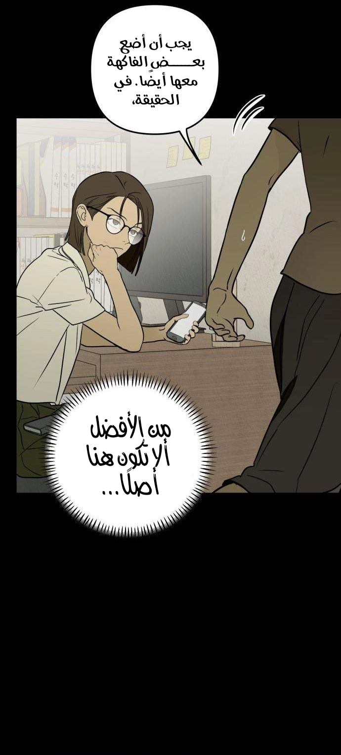 الصفحة 26