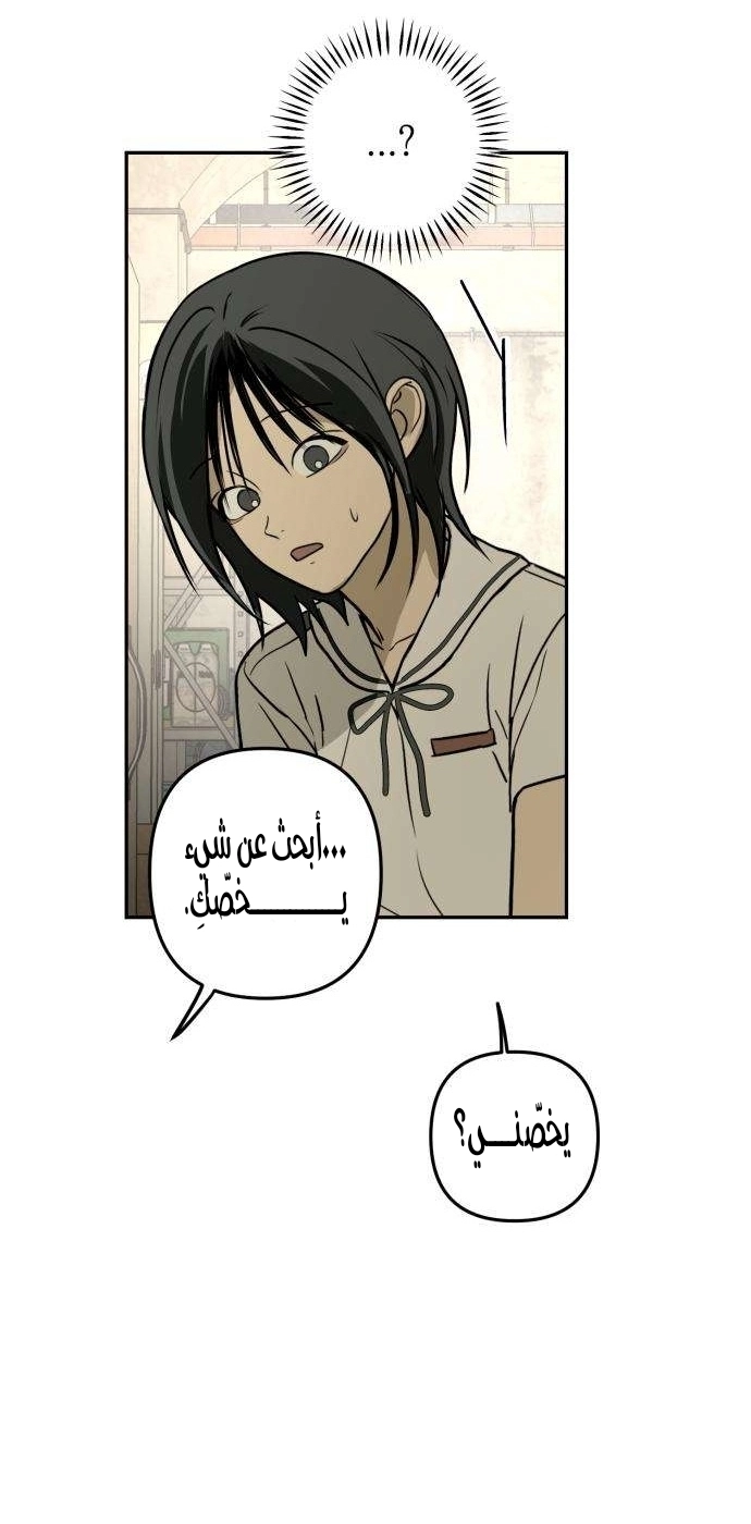 الصفحة 52