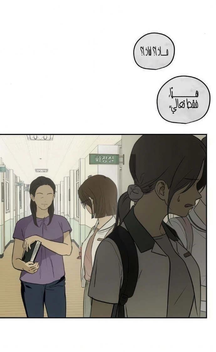الصفحة 26