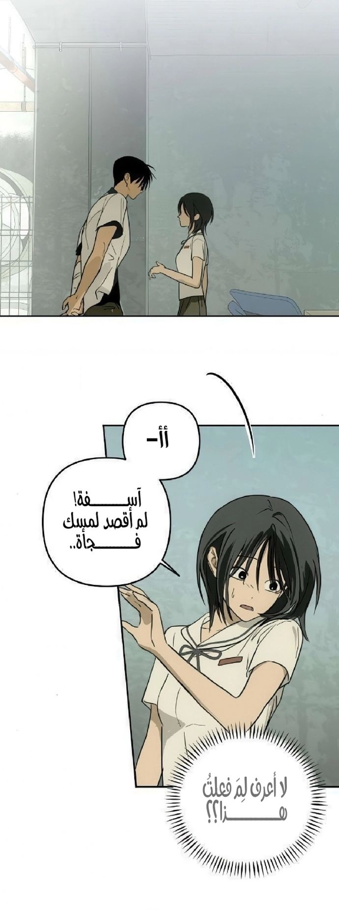 الصفحة 46