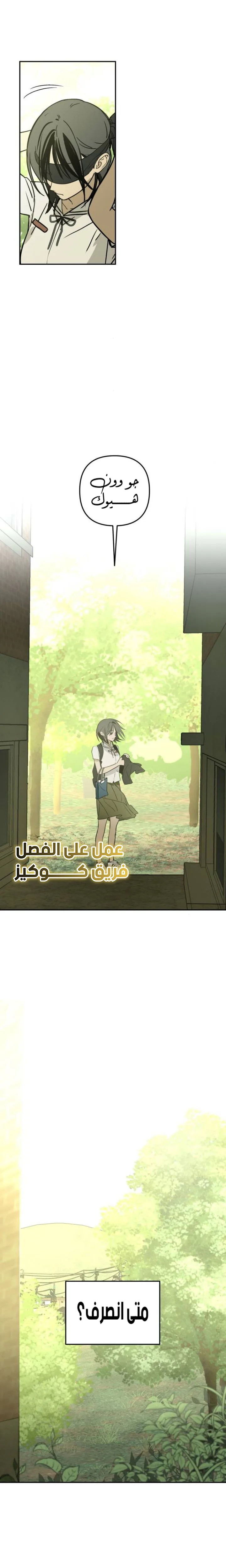 الصفحة 19