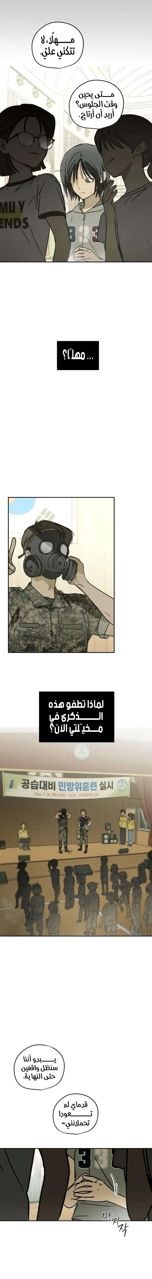 الصفحة 17