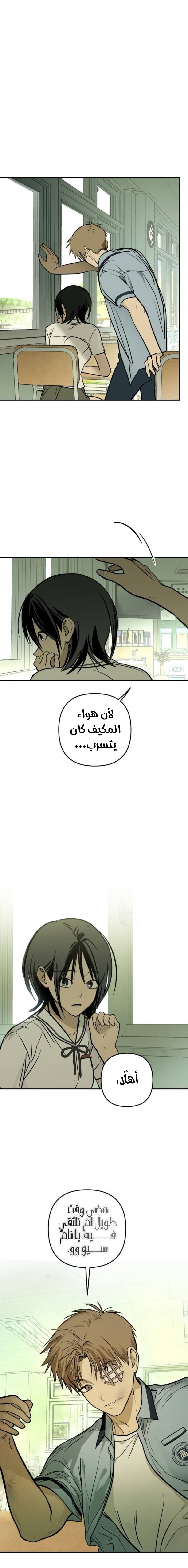 الصفحة 12