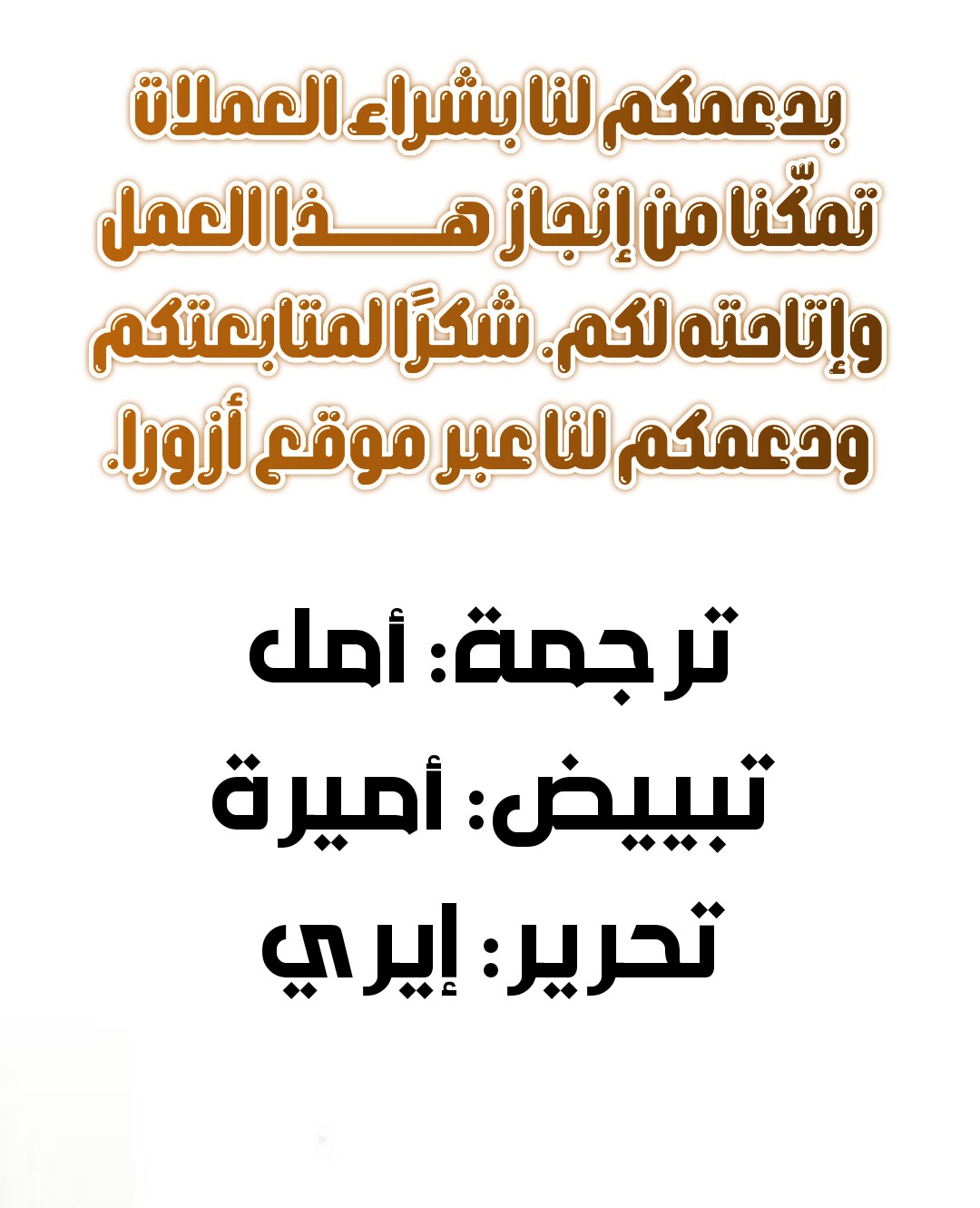الصفحة 13