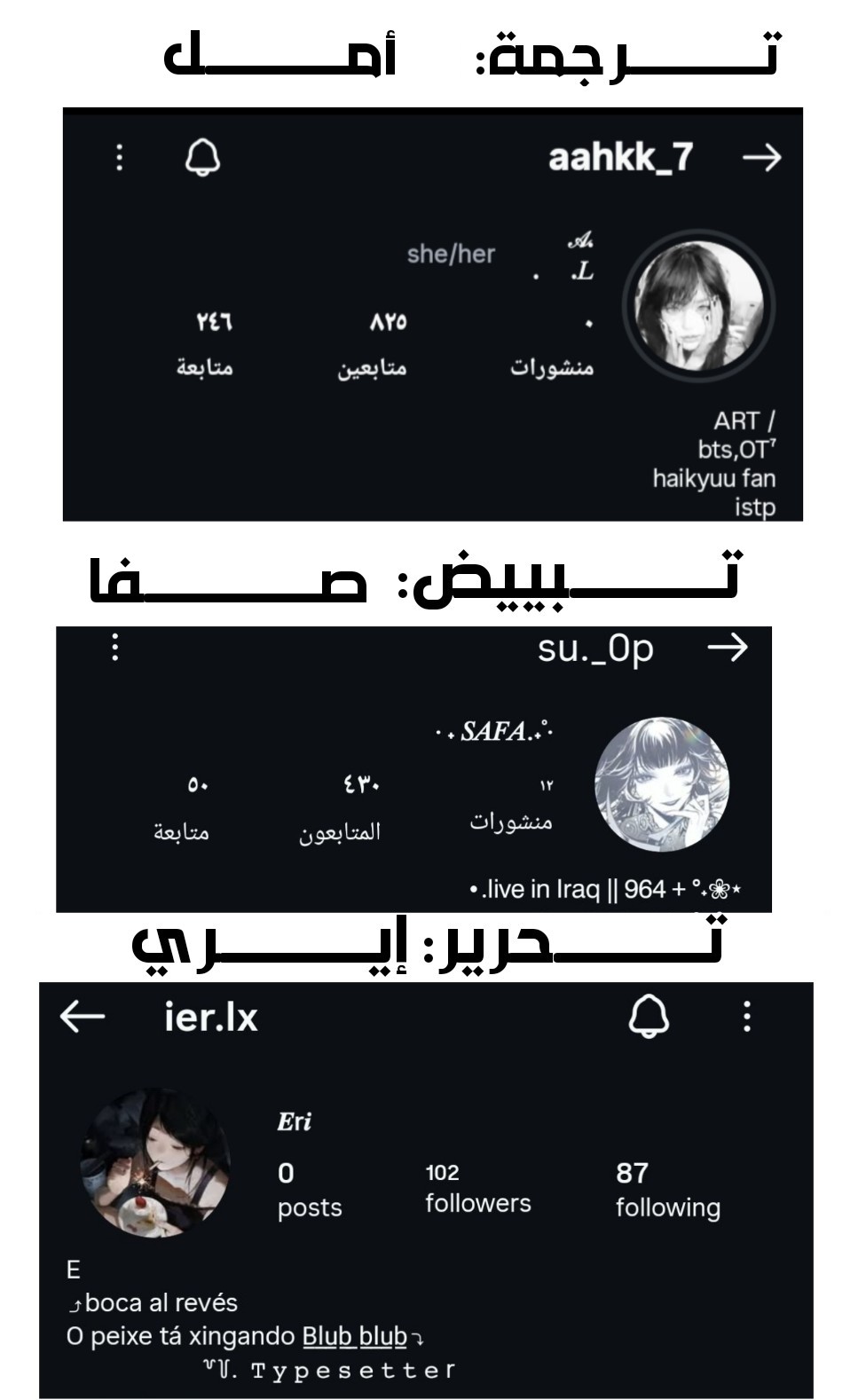 الصفحة 10