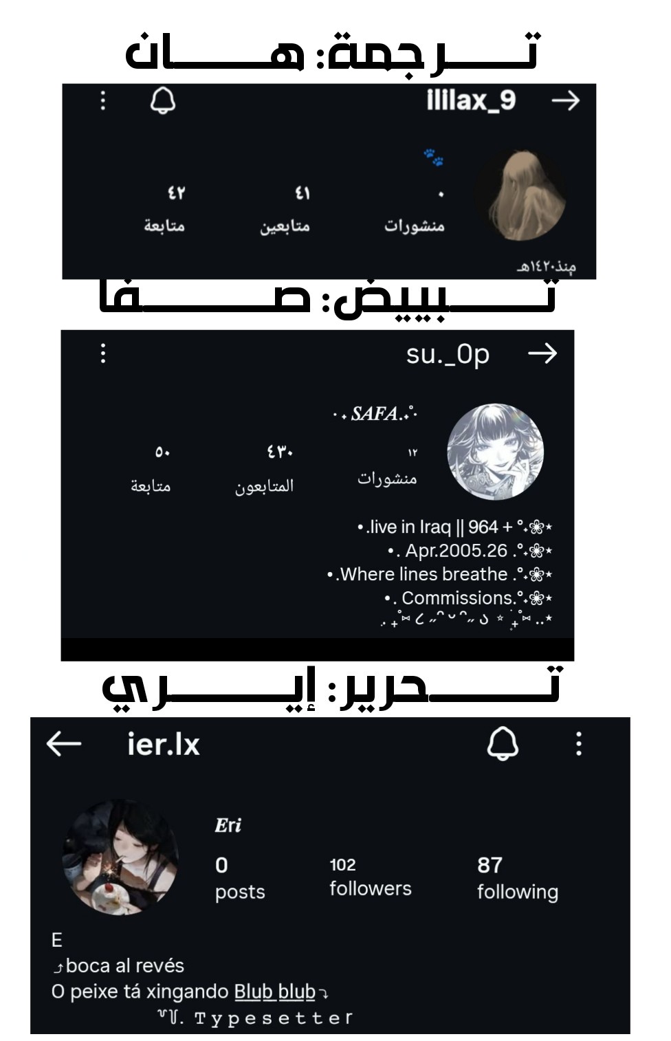 الصفحة 12
