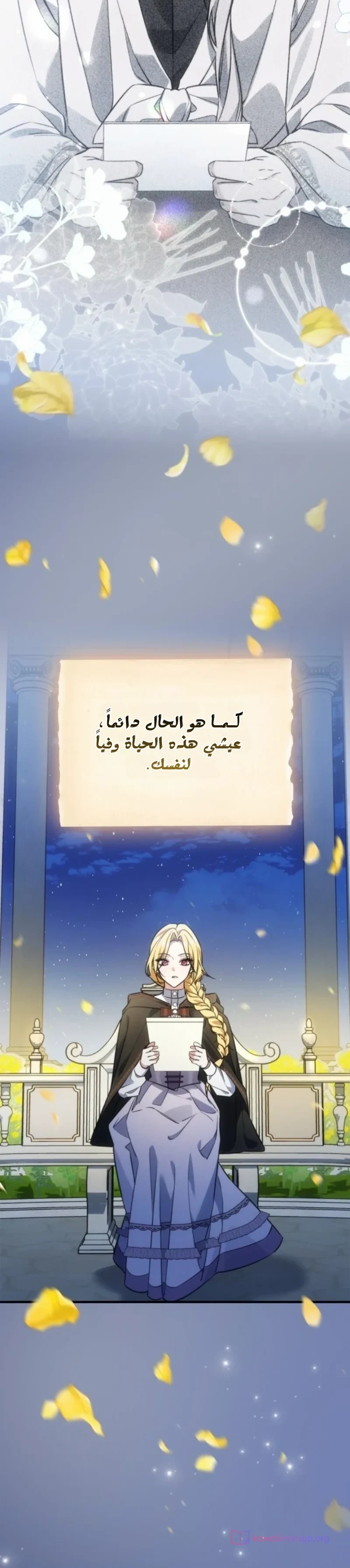 الصفحة 11