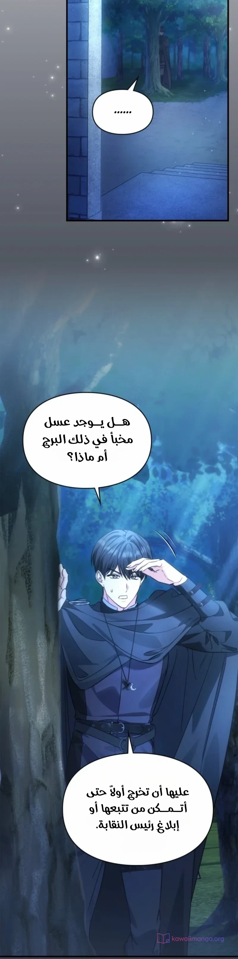 الصفحة 15