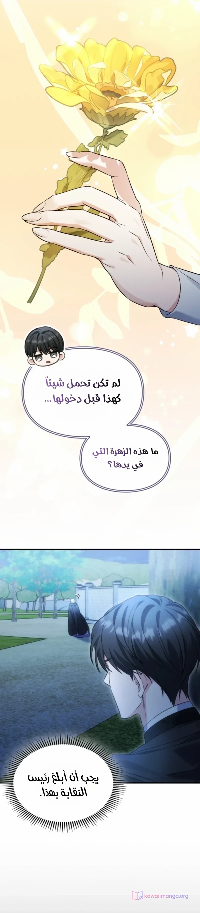 الصفحة 17
