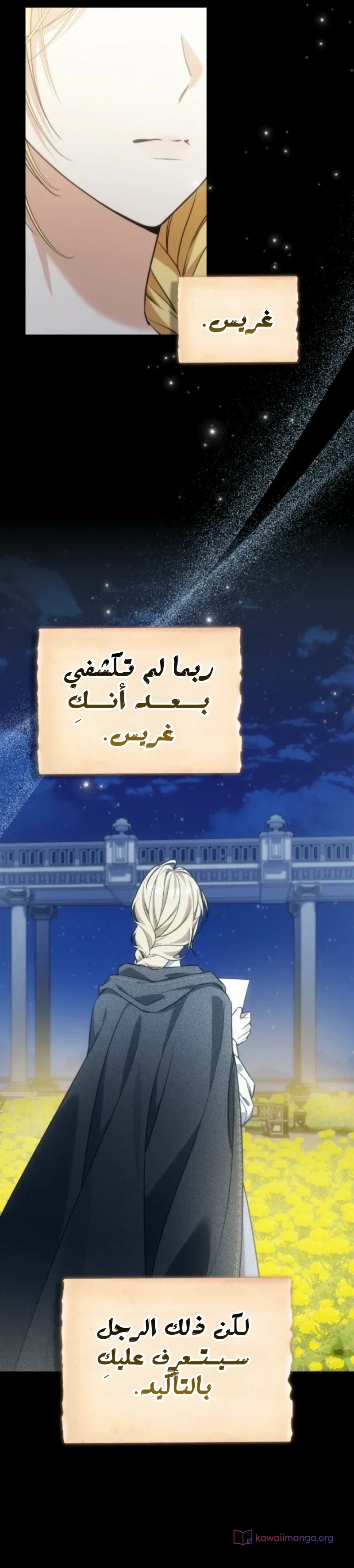 الصفحة 29