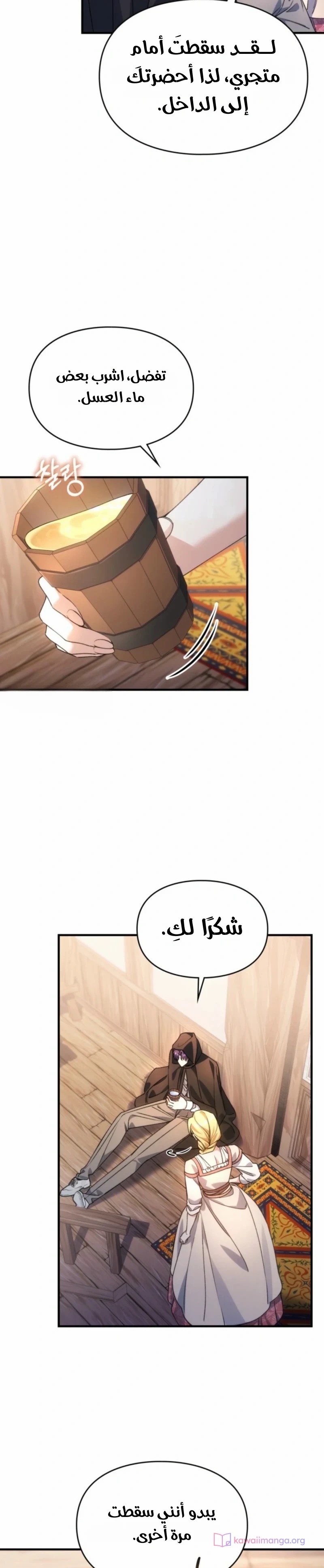 الصفحة 21